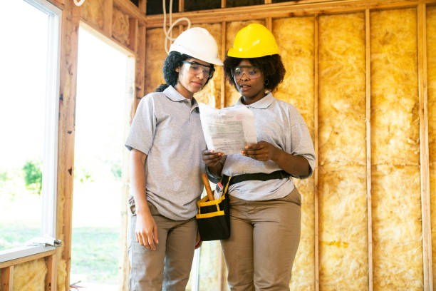 Best Insulation Removal  in Holtville, CA