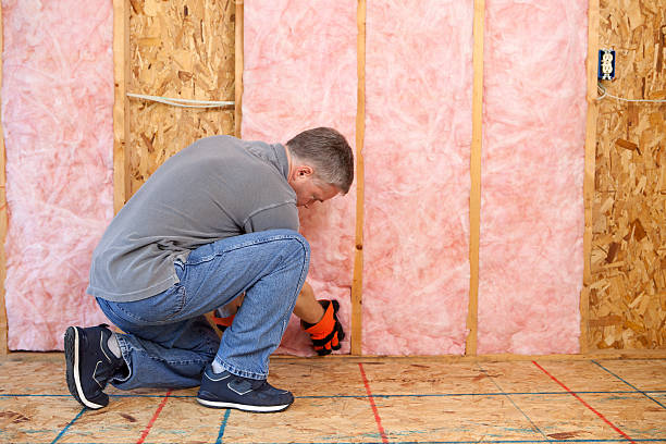 Insulation Repair Services in Holtville, CA